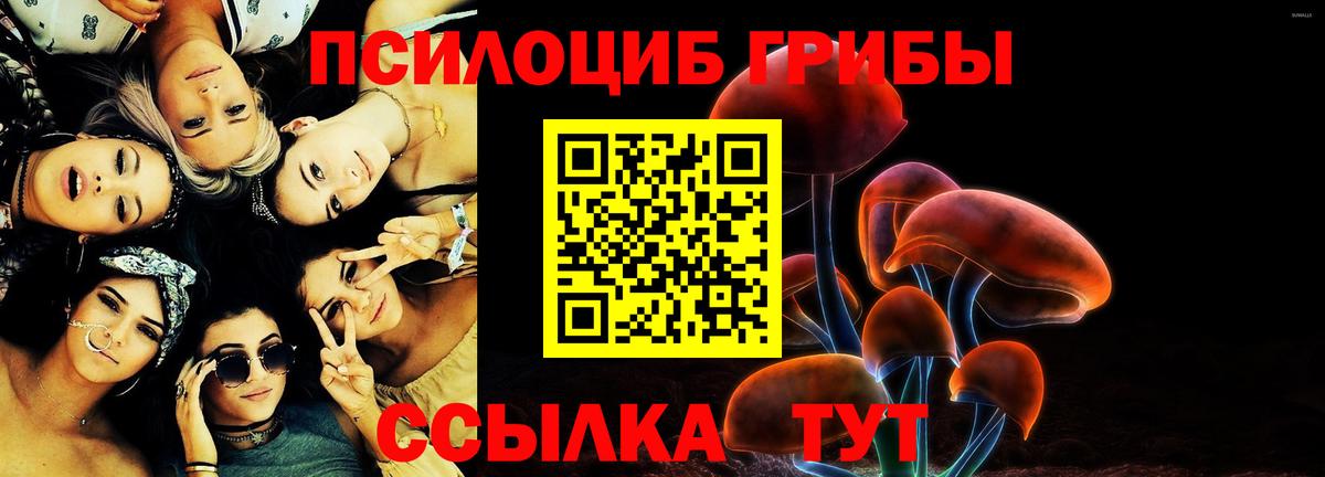 Галлюциногенные грибы Psilocybine cubensis  Вход с VPN  Псилоцибиновые грибы Cubensis  Кизляр 
